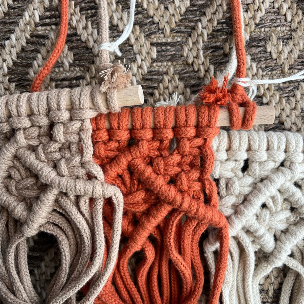 air plant hanger